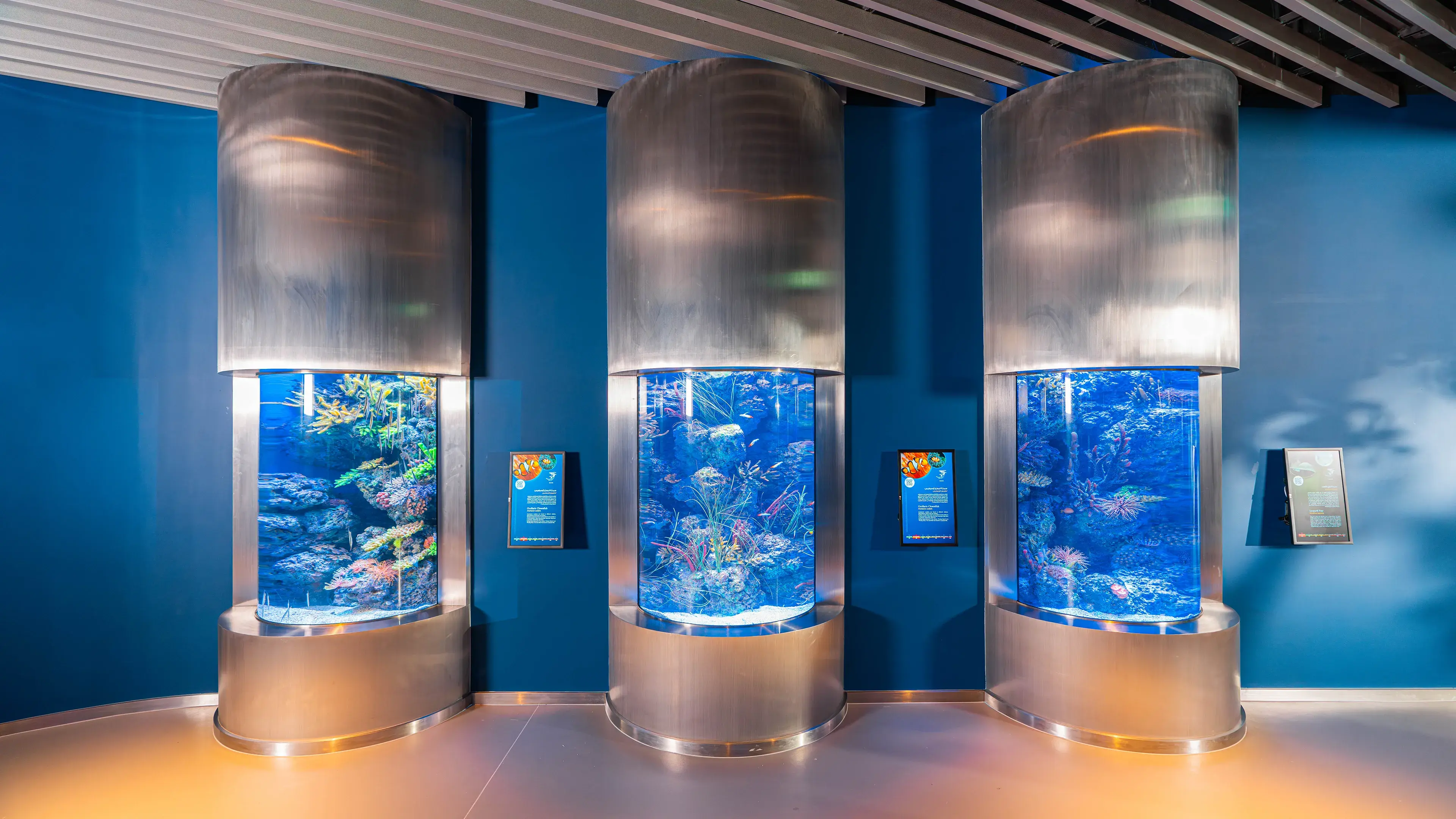 Marassi Aquarium & Underwater Zoo | Interior Fit Out 