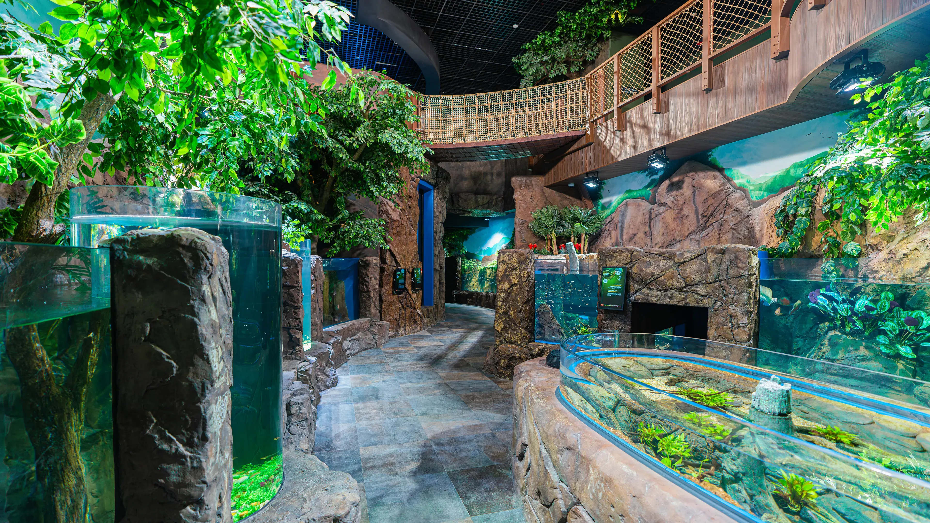 Marassi Aquarium & Underwater Zoo | Interior Fit Out Company