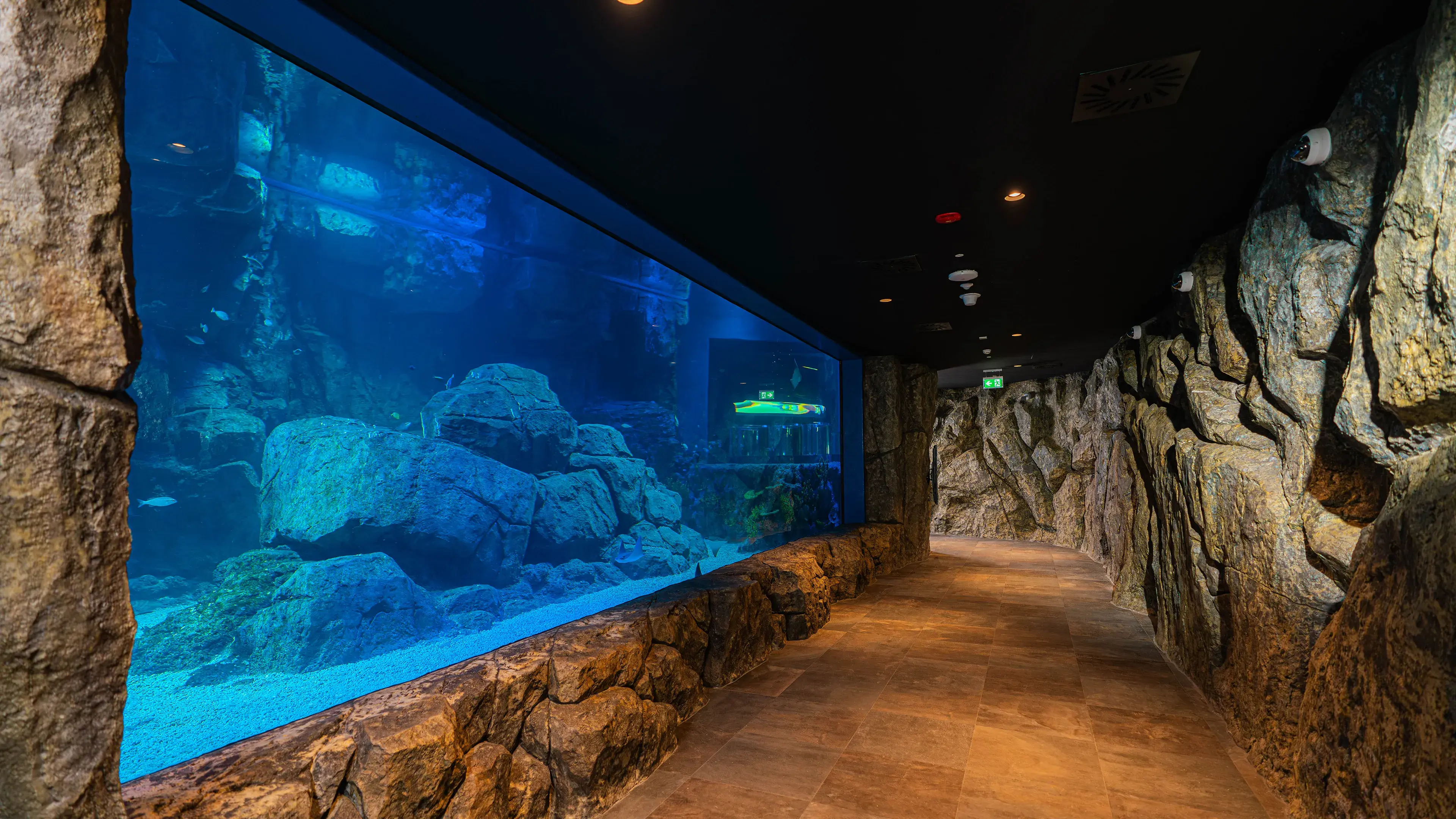 Interior Fit Out Company | Marassi Aquarium & Underwater Zoo